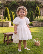 Load image into Gallery viewer, Floral Embroidered Dress