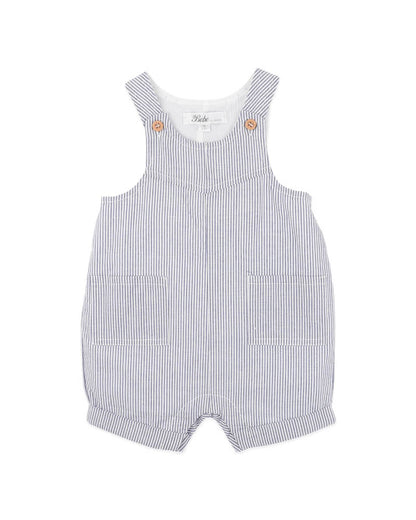 Brady Stripe Woven Overalls