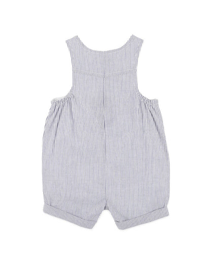 Brady Stripe Woven Overalls