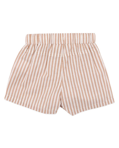 Brady Stripe Woven Shorts
