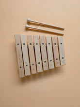 Load image into Gallery viewer, Little Notes Xylophone