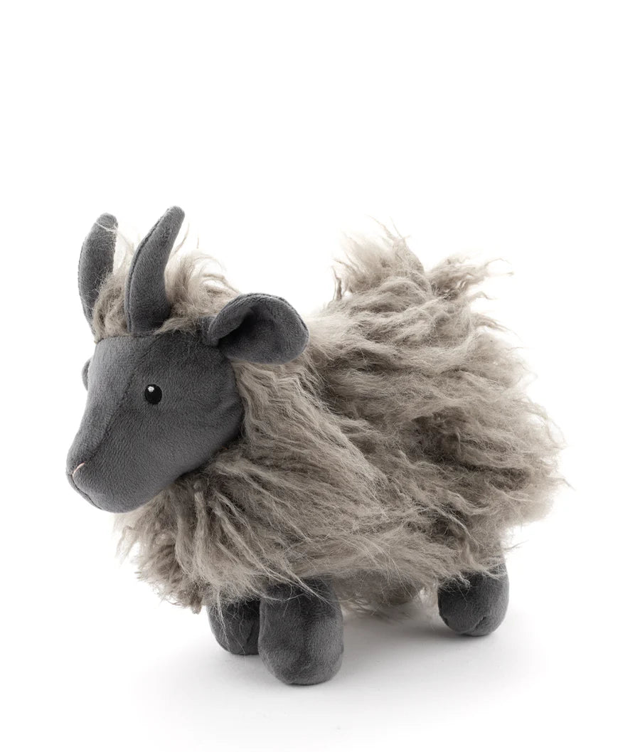Aiden the Angora Goat