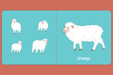 Load image into Gallery viewer, Animals on the Farm Board Book