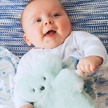 Load image into Gallery viewer, FLATOUTbear Baby | Bluey