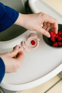 Baby Feeder