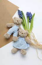Load image into Gallery viewer, Baby Honey Bear Baby Blue Dress