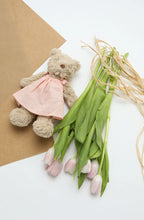 Load image into Gallery viewer, Baby Honey Bear Baby Pink Dress