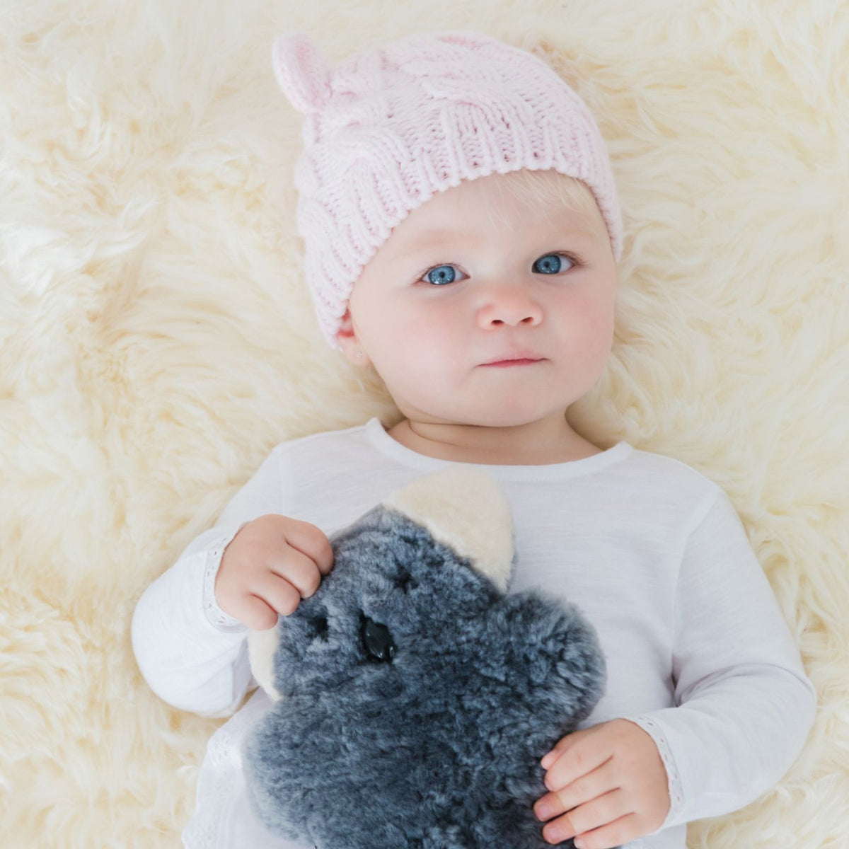 FLATOUTbear Baby | Koala