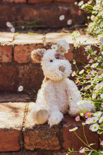 Buddy the Pup | Beige
