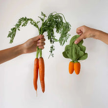 Load image into Gallery viewer, Cathy the Carrot Mini Doudou-Teethers