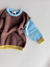 Load image into Gallery viewer, Cotton Knit Jumper  | Brown/Blue/Green