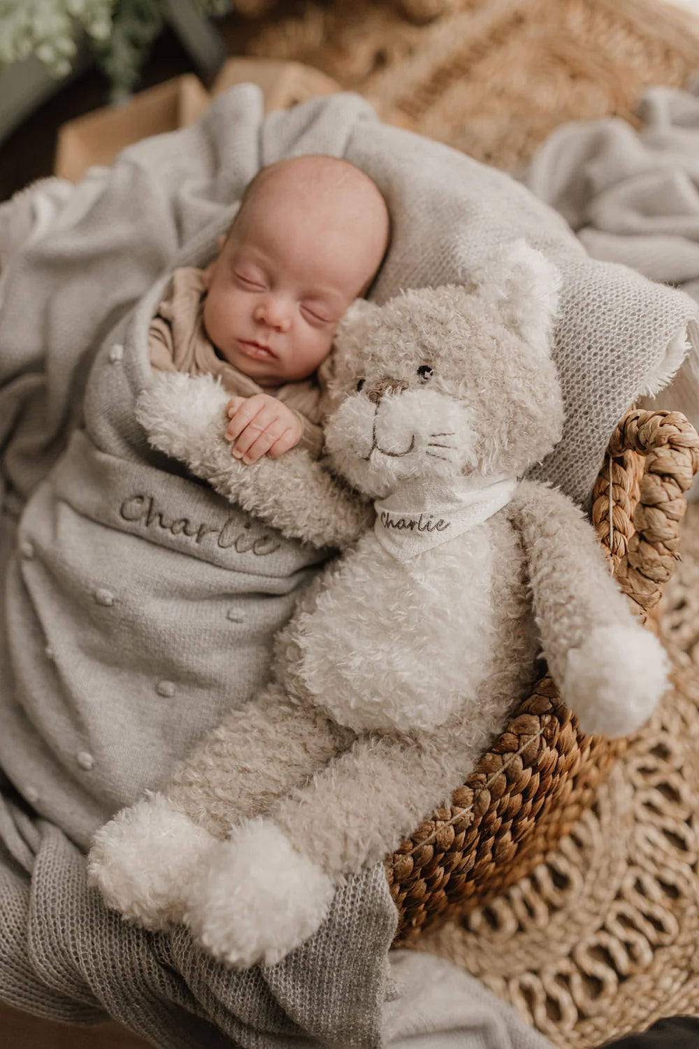 Checkers the Cat | Grey