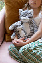 Load image into Gallery viewer, Chloe the Kitten