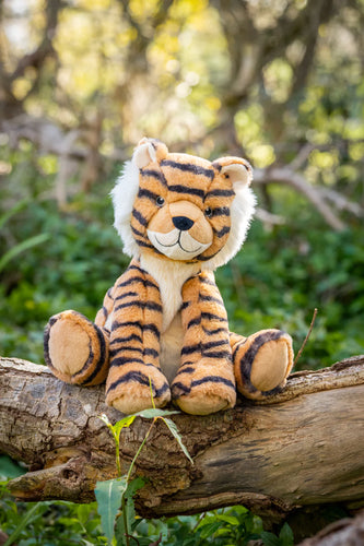 Tesh the Tiger