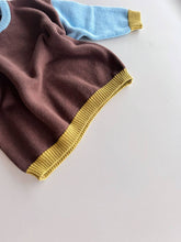 Load image into Gallery viewer, Cotton Knit Jumper  | Brown/Blue/Green