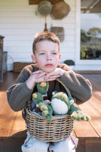 Load image into Gallery viewer, Finley the Frog