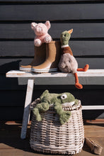 Load image into Gallery viewer, Finley the Frog