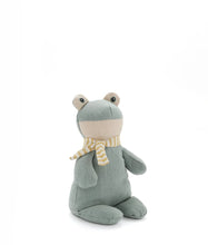 Load image into Gallery viewer, Forrest the Frog