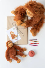 Load image into Gallery viewer, The Orangutans