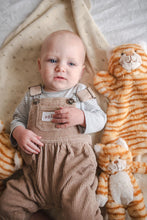 Load image into Gallery viewer, Ginger the Cat Hoochy Coochie