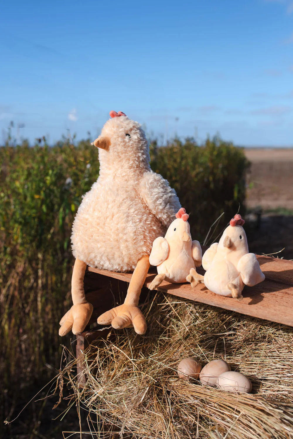 Harriet the Hen | Honey