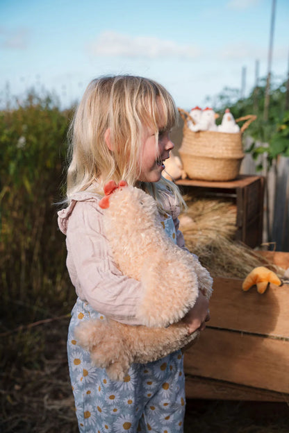Harriet the Hen | Honey