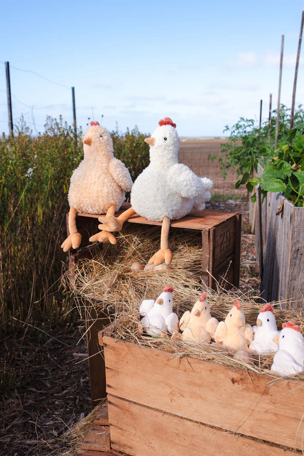 Harriet the Hen Rattle | Honey