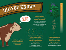 Load image into Gallery viewer, George the Farmer Haystack Hat-trick Picture Book