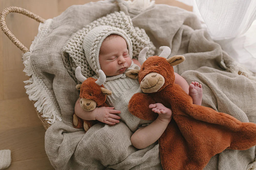 Henry the Highland Cow Rattle