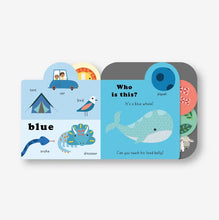 Load image into Gallery viewer, Touchy Feelies | Colours