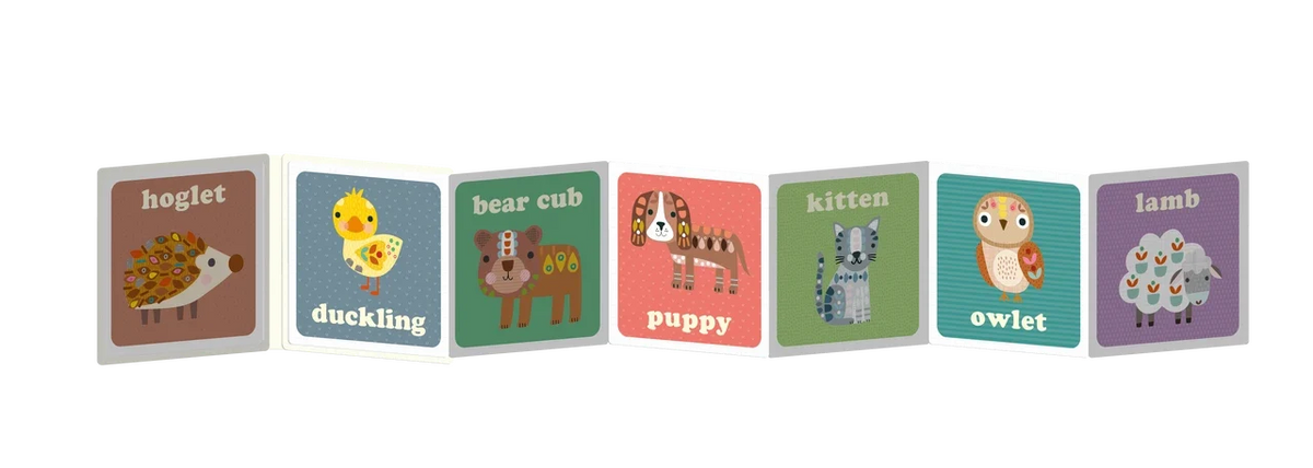 Baby | Pull Out & Play