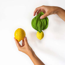 Load image into Gallery viewer, John Lemon Mini Doudou-Teethers