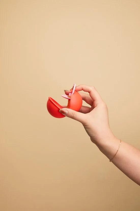 Mini Pacifier Case