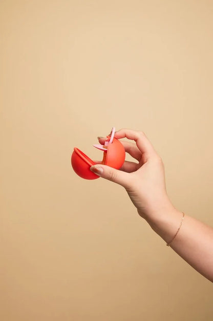 Mini Pacifier Case