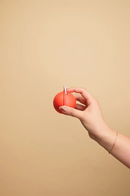 Mini Pacifier Case