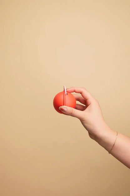 Mini Pacifier Case
