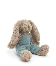 Load image into Gallery viewer, Baby Honey Bunny Blue Overalls