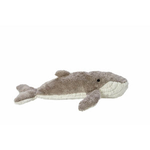 Senger Whale | Small