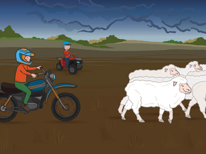 George the Farmers Shears a Sheep Picture Book