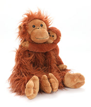 Load image into Gallery viewer, The Orangutans