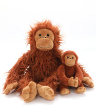 Load image into Gallery viewer, The Orangutans