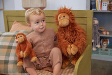 Load image into Gallery viewer, The Orangutans