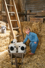 Load image into Gallery viewer, Valentina the Valais Sheep