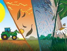 Load image into Gallery viewer, George the Farmers Plants a Wheat Crop Picture Book