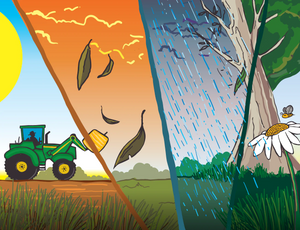 George the Farmers Plants a Wheat Crop Picture Book
