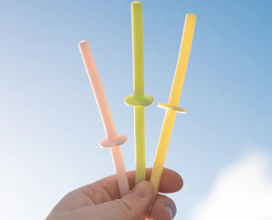 Silicone Straw Set (4)