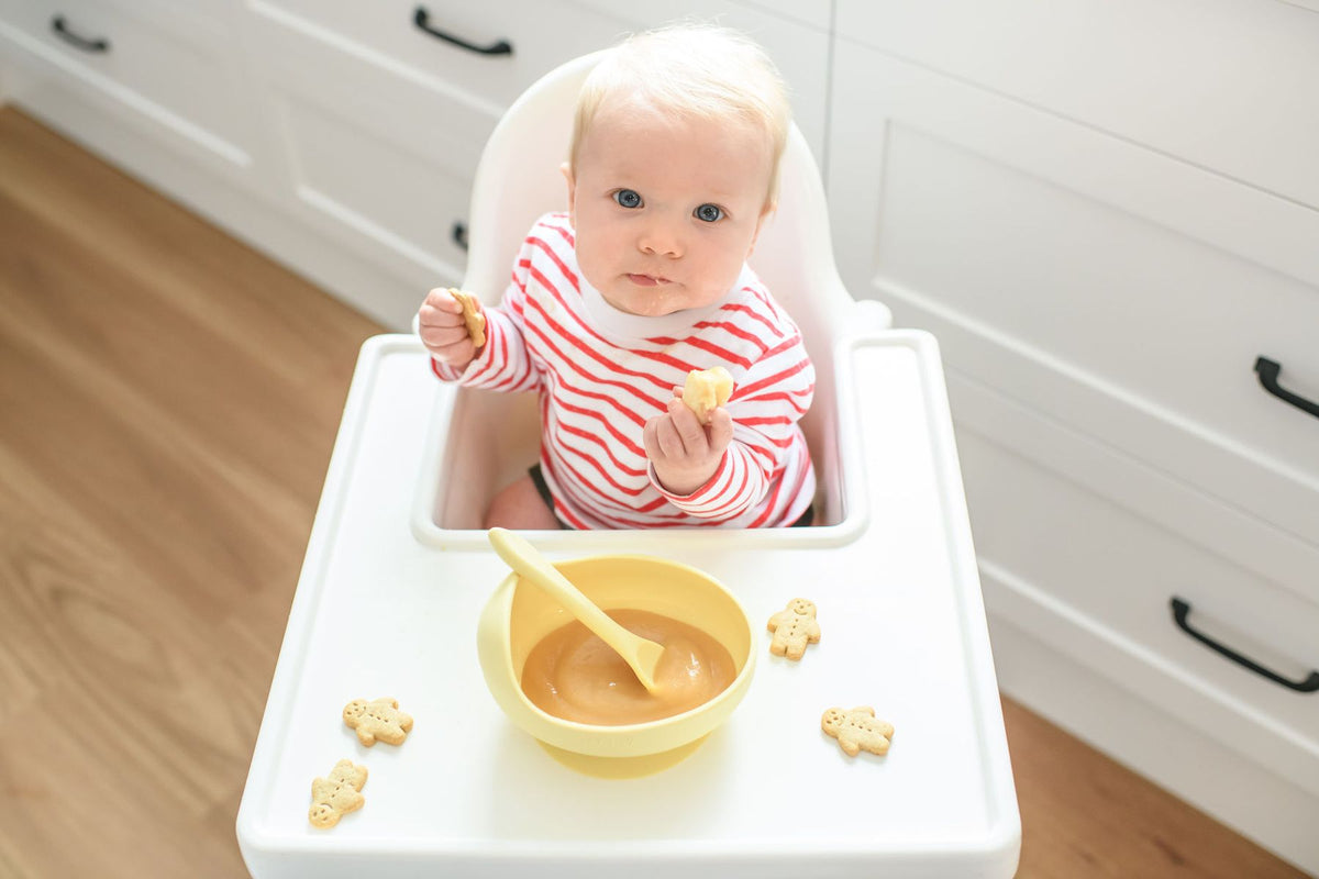 Silicone Bowl and Spoon Set