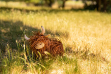 Load image into Gallery viewer, Heidi the Highland Cow