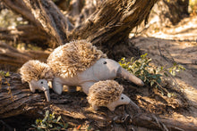 Load image into Gallery viewer, Mini Spike the Echidna Rattle
