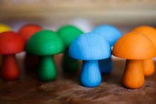 Load image into Gallery viewer, Coloured Mushrooms